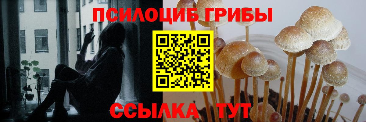 Псилоцибиновые грибы MAGIC MUSHROOMS Фролово